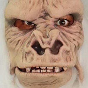 Meet your Posher, Casey